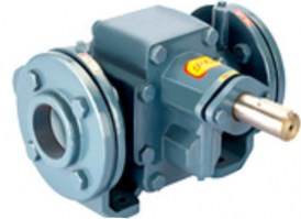 11 Rotary Gear Pump